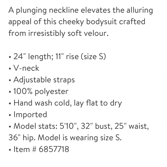 WISHLIST ✨ VELOUR BODYSUIT NWT - Picture 5 of 6